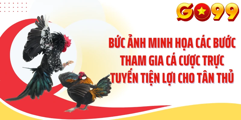 Bức ảnh minh họa các bước tham gia cá cược trực tuyến tiện lợi cho tân thủ