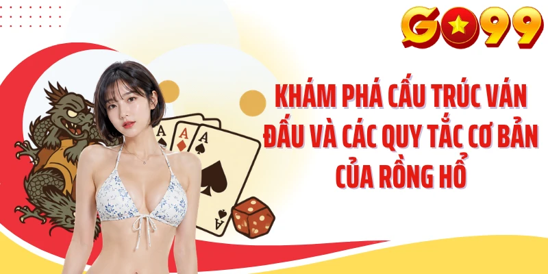 Khám phá cấu trúc ván đấu và các quy tắc cơ bản của rồng hổ