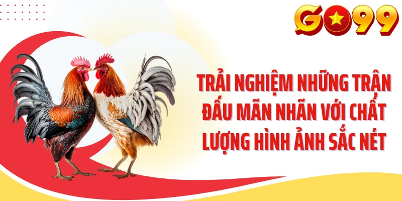Trải nghiệm những trận đấu mãn nhãn với chất lượng hình ảnh sắc nét